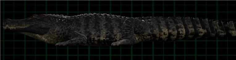 恐鳄